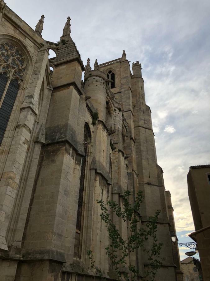 Cathedrale Appart Lejlighed Narbonne Eksteriør billede