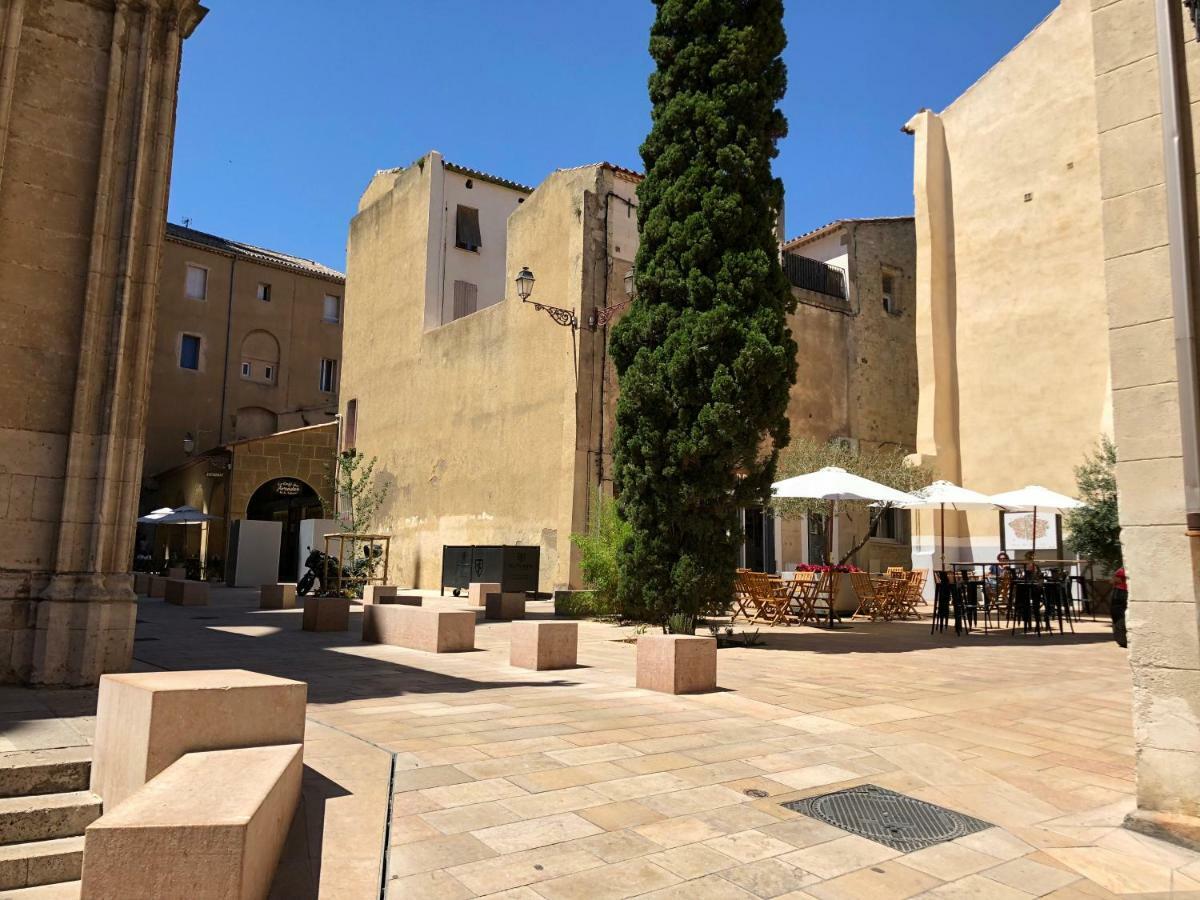 Cathedrale Appart Lejlighed Narbonne Eksteriør billede